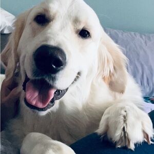 Meet your Posher, Kailen